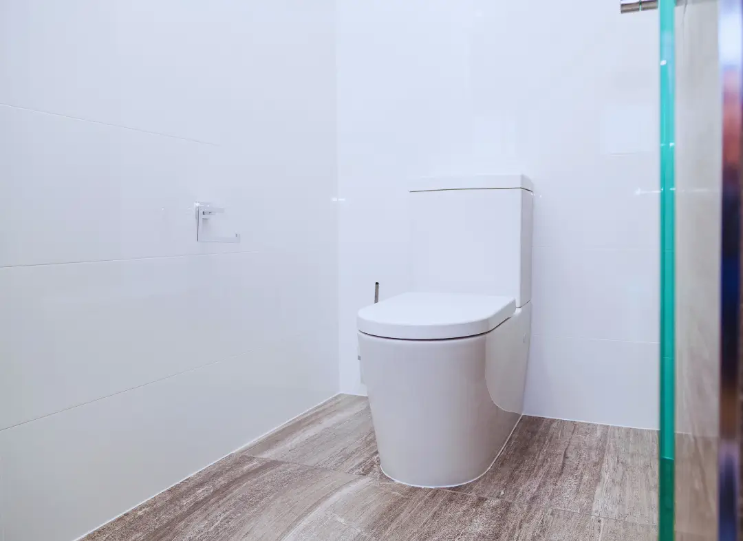 Remplacement de wc Saint-Jorioz