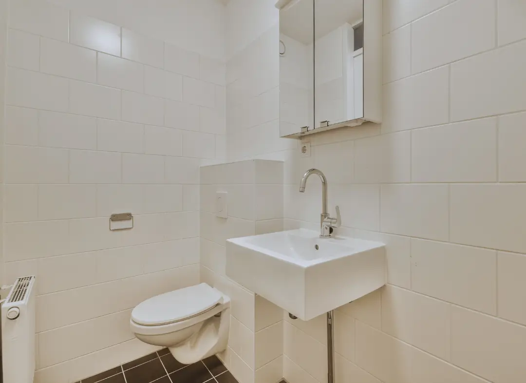 Pose WC Suspendu Saint-Jorioz